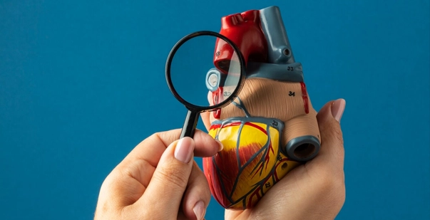 Heart disease facts and statistics you must know post img Heart disease facts and statistics you must know post img