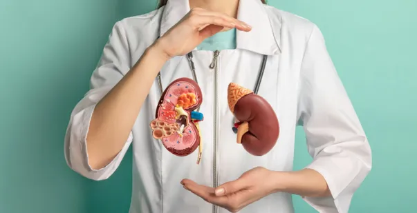 Neurogenic shock causes, symptoms and treatment post img Neurogenic shock causes, symptoms and treatment post img