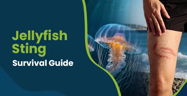 How to recognize and treat box jellyfish stings post img
