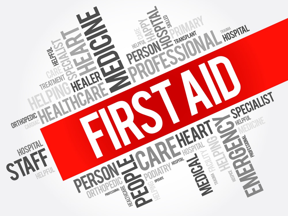 cpr and first aid skill
