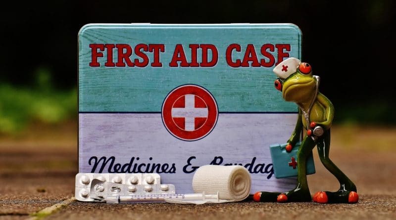 First Aid Kid Online CPR Certification