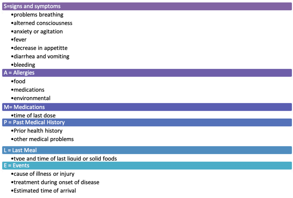 pals-y-evaluaci-n-pedi-trica