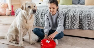 Quick first aid hacks for your pets
