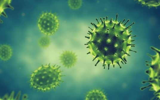 Corona Virus
