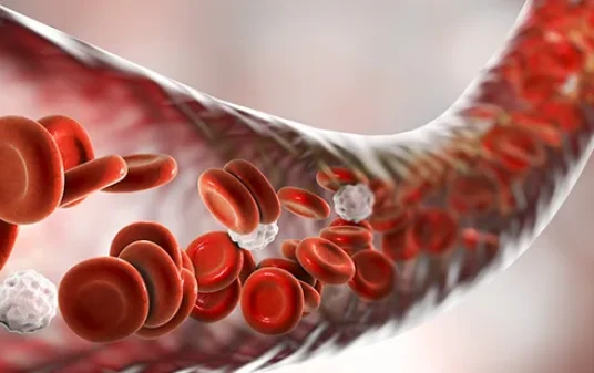 Hemostasis stages and how the process stops blood flow post img