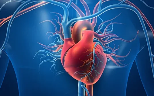 Hypovolemic Shock Symptoms, Causes, and Treatment