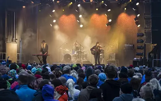 image for concert emergencies & safety