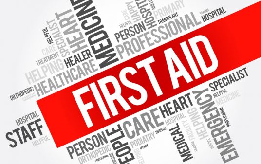 cpr and first aid skill